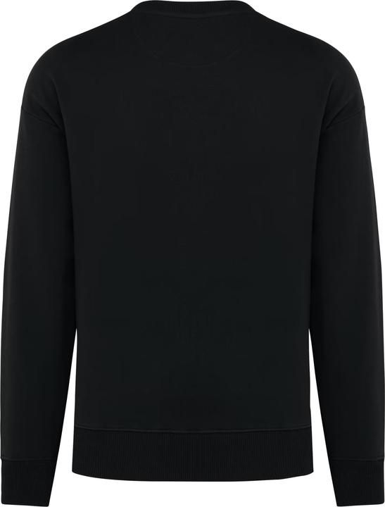 Actual product image Native Spirit Eco-friendly oversized round neck sweatshirt (M)