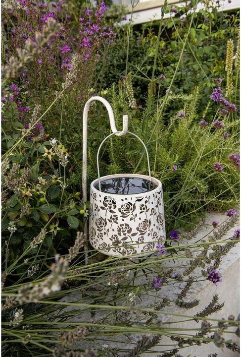 Produktbild STT Baccara