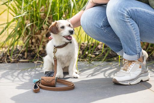 Actual product image Beeztees Bz Balacron Barf Bag Dispenser O (Dog)