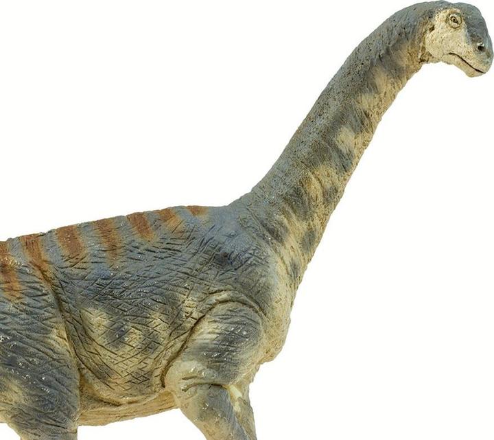 Produktbild Safari Camarasaurus