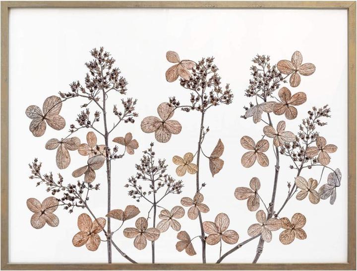 Immagine prodotto Trenddeko Fiori secchi (100 x 80 cm)