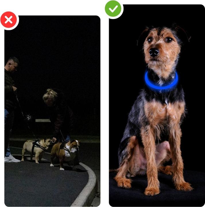 Actual product image Hermex LED safety dog collar Dog collar Light-up collar Tube collar (Dog, General)