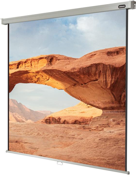Actual product image Celexon Rollo Professional (112", 1:1)