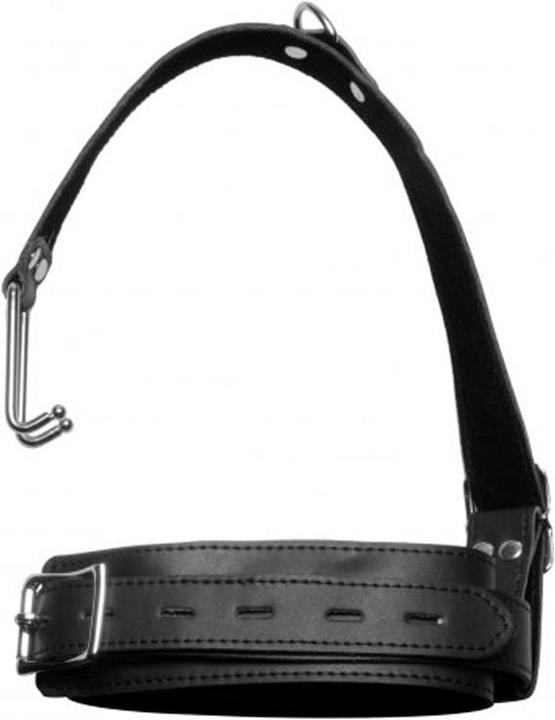 Actual product image Master Series Collar with nose hook