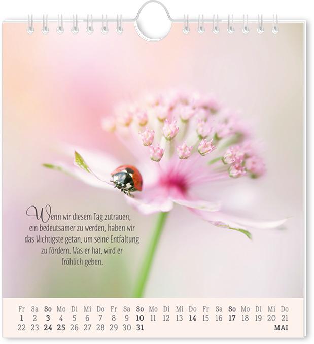 Actual product image Postkartenkalender 2026 Lebenszeichen