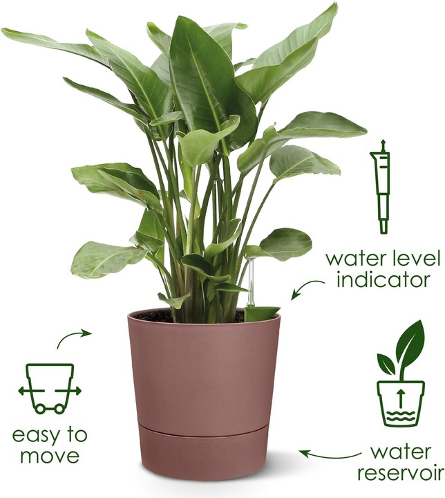Produktbild Elho Blumenschale (30 cm)