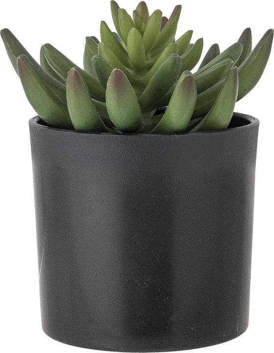 Immagine prodotto Bloomingville Echeveria (9 x 14 cm)