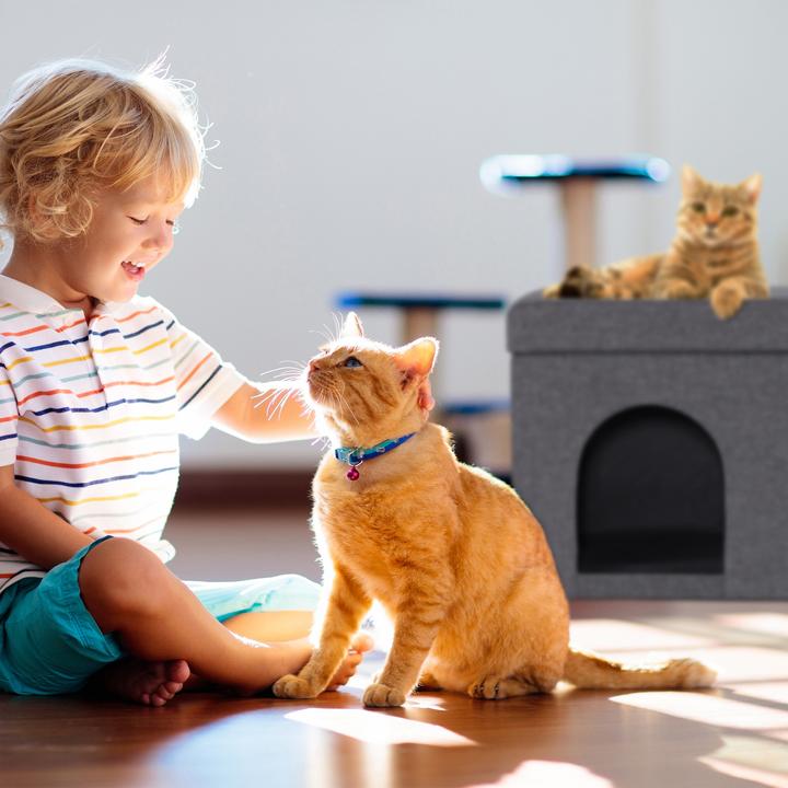 Immagine prodotto Relaxdays Puffo con-cuccia-gatti (Gatto, Cane)