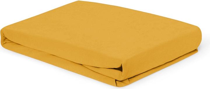 Maize