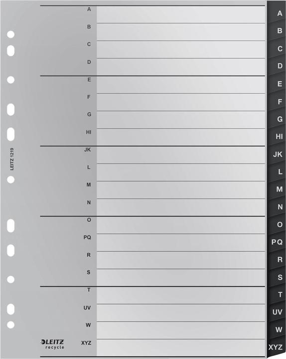 Actual product image Esselte Index book register
