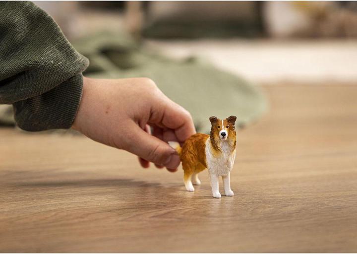 Actual product image Schleich Collie