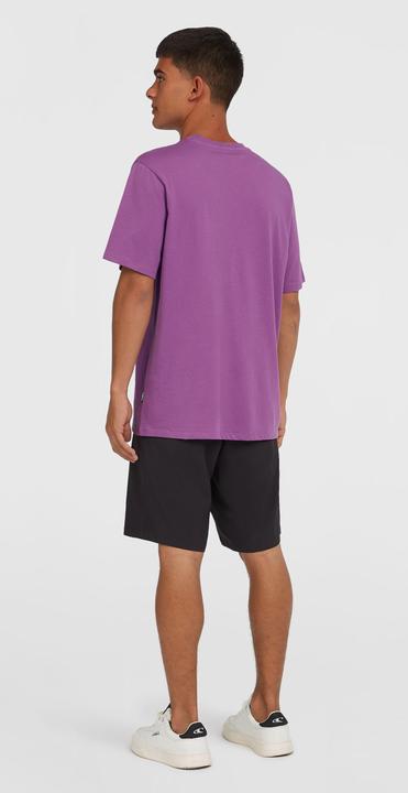 Image du produit O'Neill Short Hybrid Chino 19 (Bande de fréquences 38 (2600 MHz))