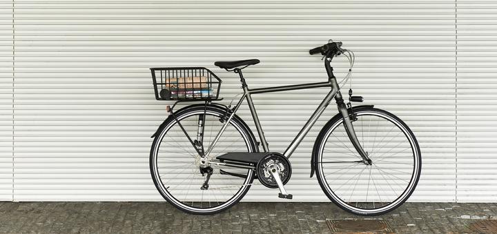 Actual product image Basil Cento (20 l)