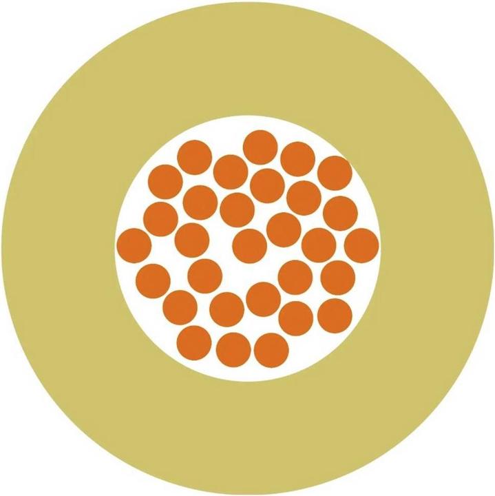 Image du produit Lapp Conducteur individuel (900 m)