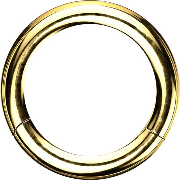 Actual product image Star Piercing Segment ring gold plated with titanium layer (without brass, Surgical steel 316L)