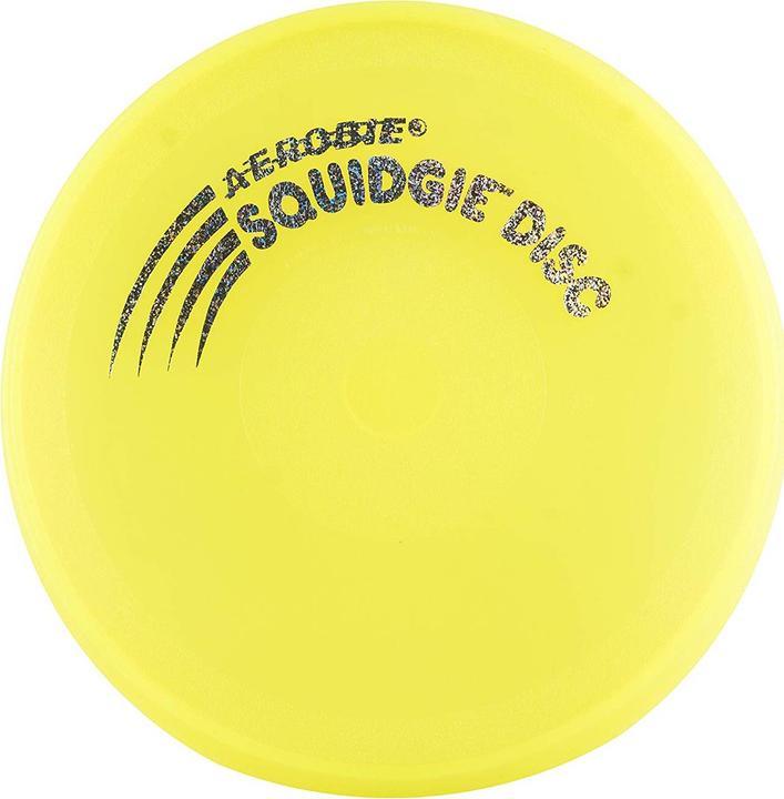 Actual product image Aerobie Squidgie Disc