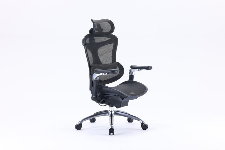 Image du produit Sihoo Doro C300
