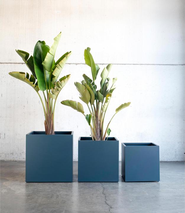 Actual product image Herstera Cube (60 cm)