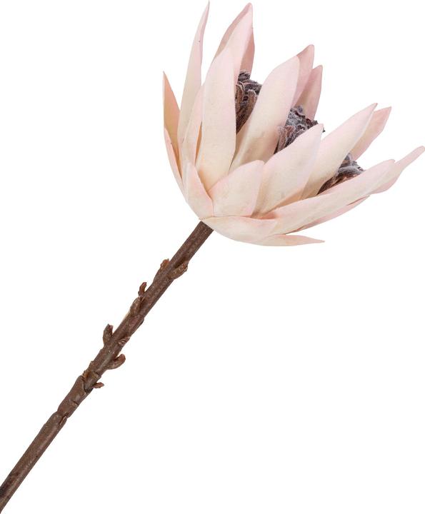 Actual product image House Nordic King (65 cm)