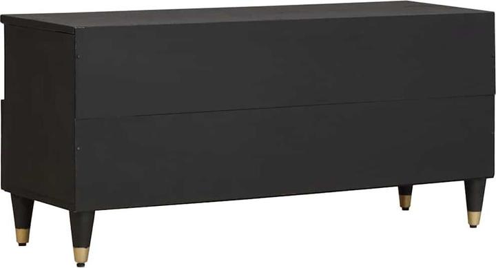 Actual product image vidaXL TV-Schränk (33 x 100 x 46 cm)