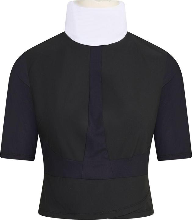 Euro-star Flying Fearless