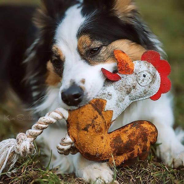 Actual product image Duvoplus Ruby Rooster Farm Friend (Plush toy dog)