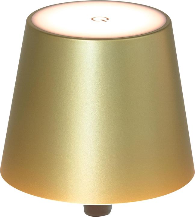 Actual product image Benson Electric Bottle light gold