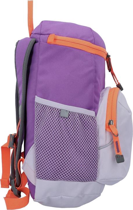 Actual product image Jack Wolfskin Erlebnis Pack (20 l)