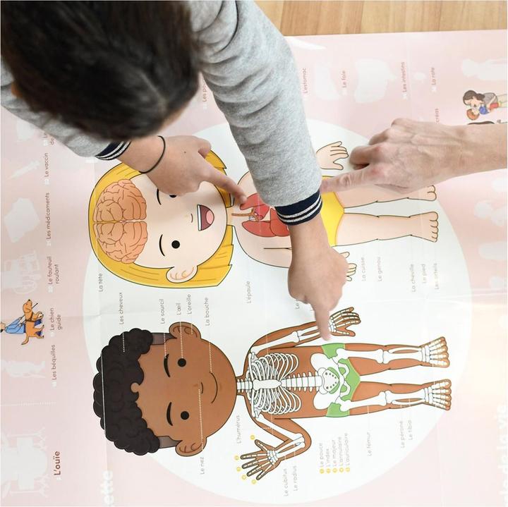 Produktbild Poppik Sticker Lernposter Menschlicher Körper