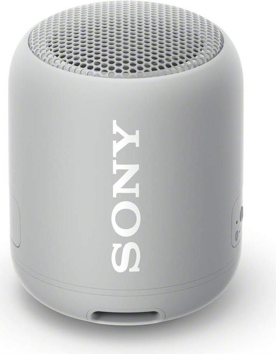 Sony SRS-XB12 (16 h, Rechargeable battery operated)