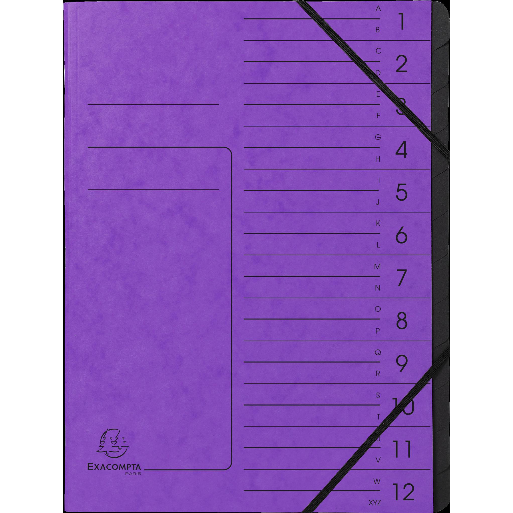 10x Exacompta, Mappe, Geheftete Ordnungsmappen (A4, 1 x)