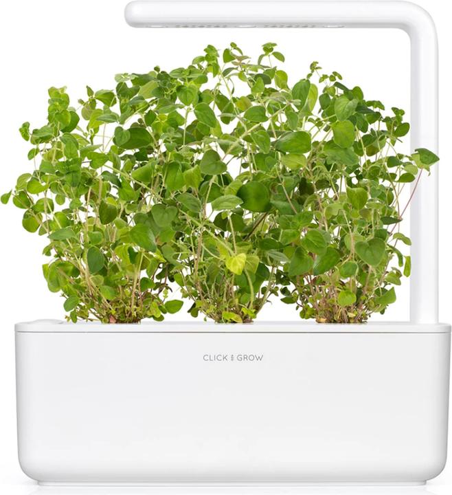 Produktbild Click and Grow Oregano (Kräutersamen)