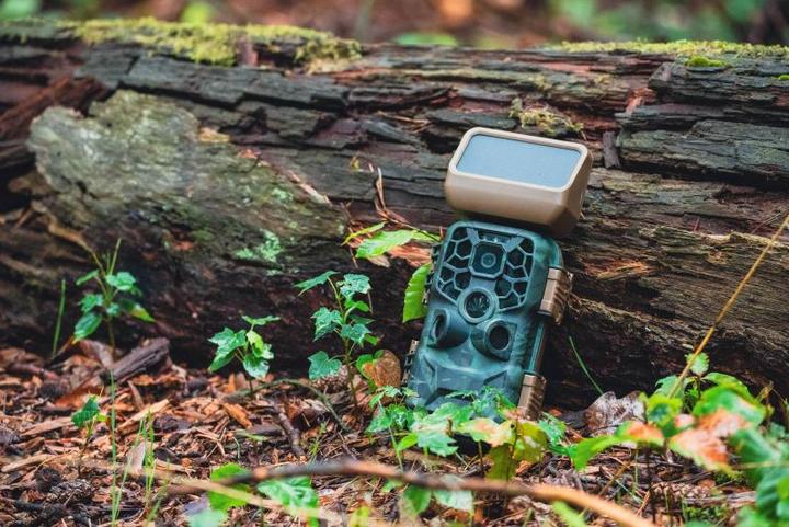 Produktbild Braun Photo Scouting Cam Black400 WiFi Solar