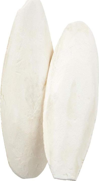 Immagine prodotto Exo Terra Ossa e guscio di seppia (2 x, 0.11 kg)