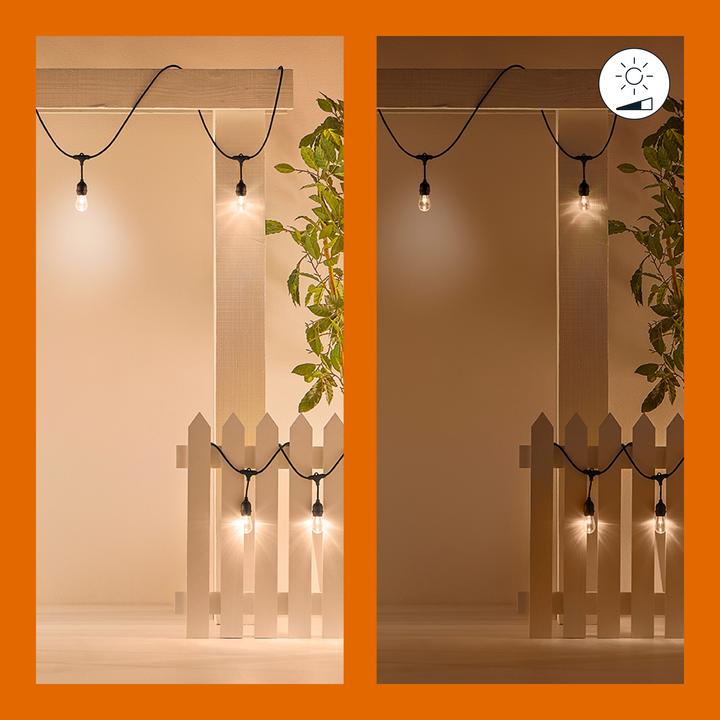 Actual product image WiZ String Lights (0.15 m)