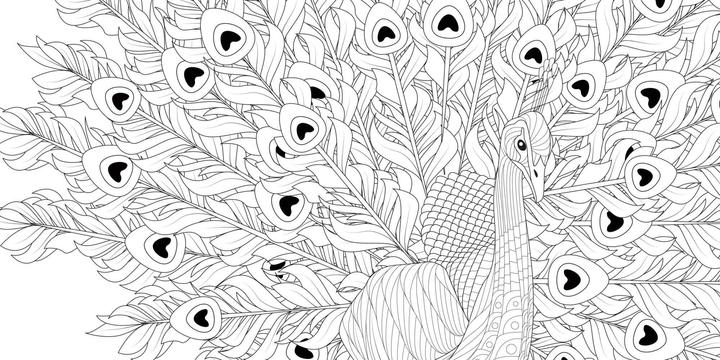 Produktbild Traumgärten