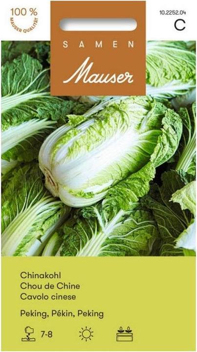 Produktbild Samen Mauser Chinakohl Peking (Gemüsesamen)