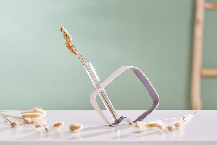 Produktbild VBS Reagenzgläser