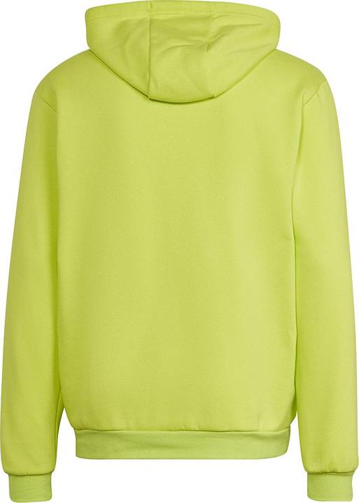 Actual product image adidas Entrada 22 Sweat Hoodie (M)