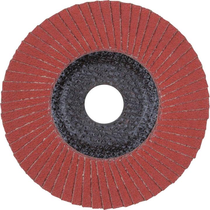 Productafbeelding Pferd POLIFAN getande borgring PFF ACOOL 80 SG INOX ALU (80)