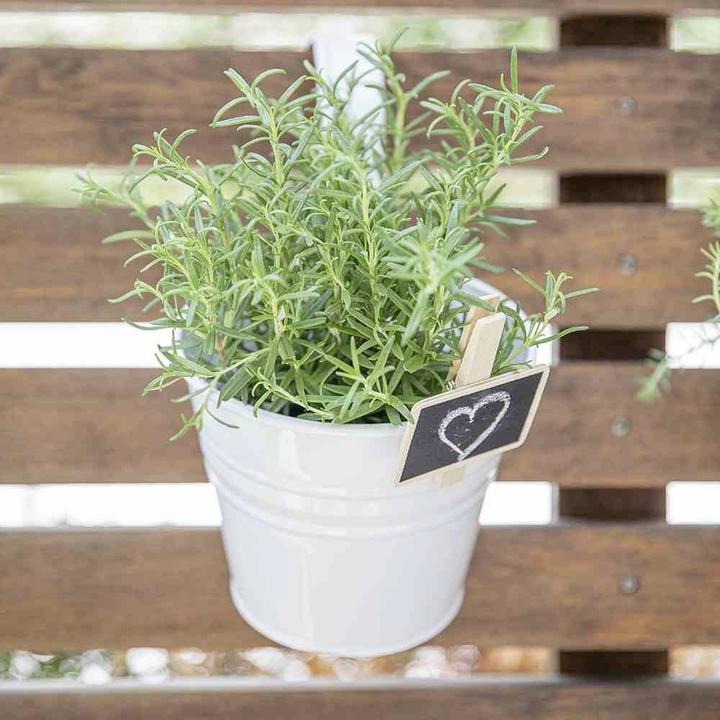 Produktbild Siena Garden Pflanzgefäss (16 cm)