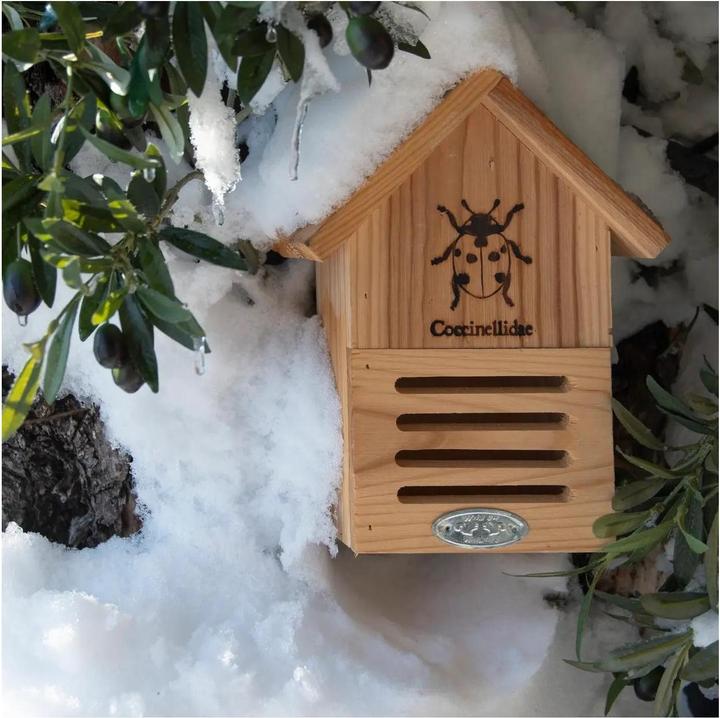 Actual product image Esschert Design Ladybird house with silhouette (Ladybirds)