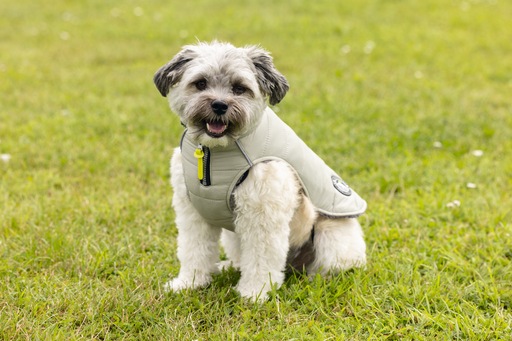 Produktbild Beeztees Bz Hund Mantel Bobby Taupe 52 (52, Hundemantel)