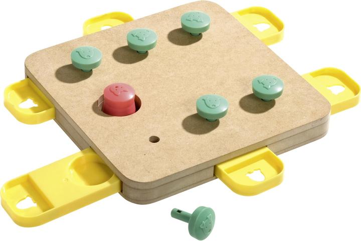 Karlie Doggy Brain Train (Intelligence toy dog)