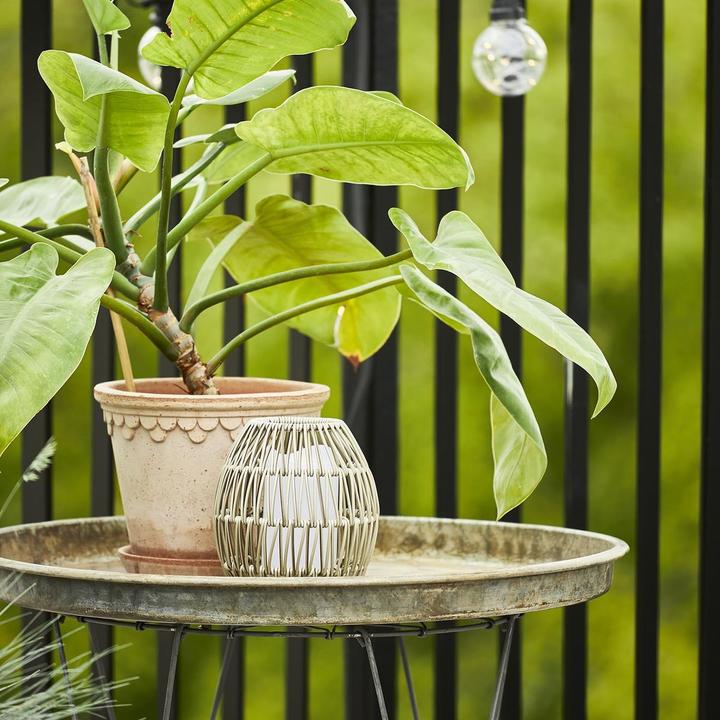 Produktbild Star Trading LED-Kerze Pillar Flamme 7.5 cm x 15 cm, Weiss (1x)