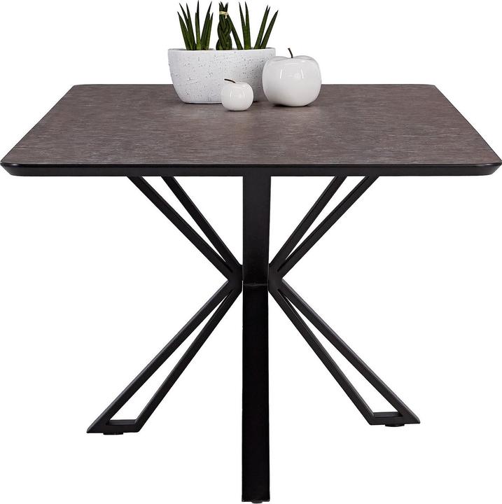 Immagine prodotto Homestyle4u Esstisch (200 x 100 x 76 cm)