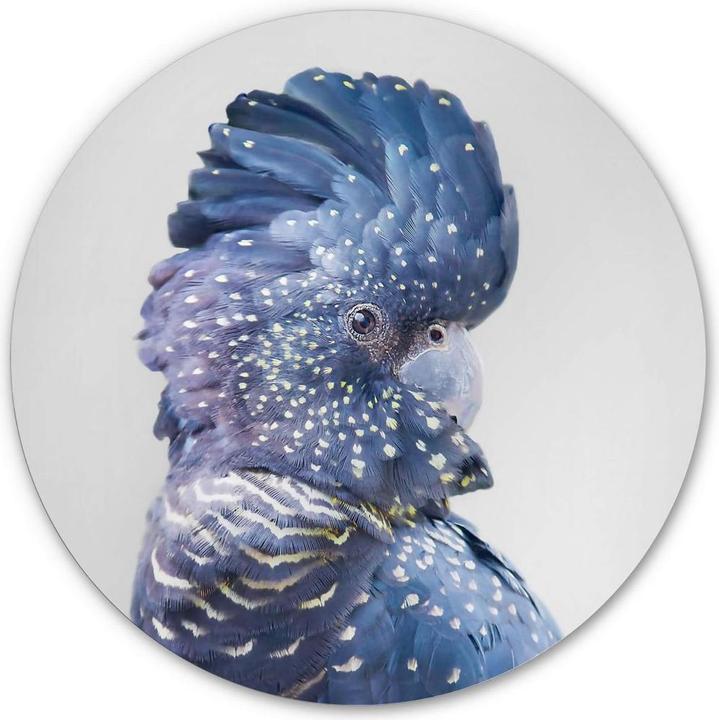 Image du produit Trenddeko Cacatoès bleu (Rond)