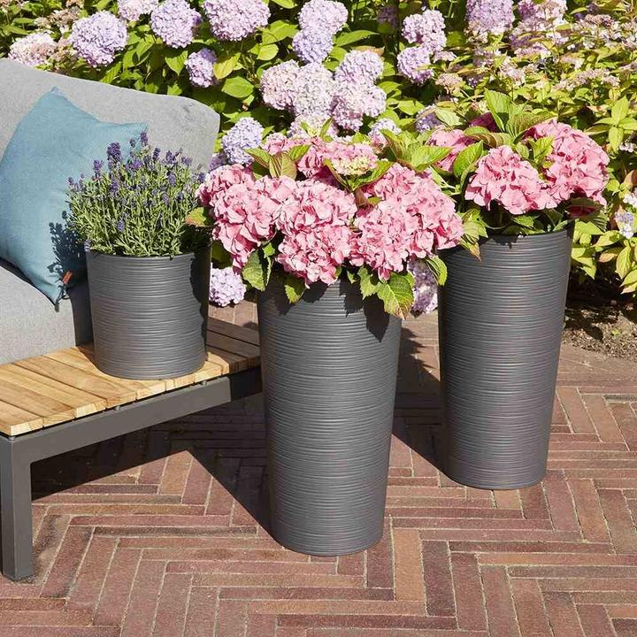 Immagine prodotto Siena Garden Fioriera Lens in plastica grafite 25 cm