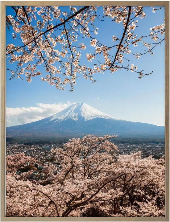 Immagine prodotto Trenddeko Monte Fuji in Giappone (80 x 100 cm)