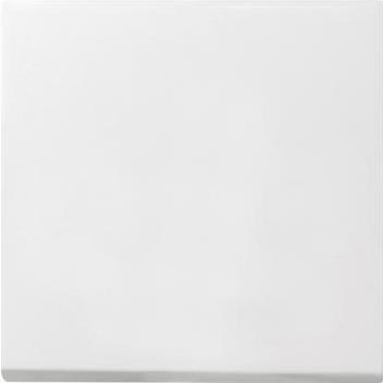 Gira Wippe Wechsel reinweiss 0296112 Flächenschalter, Taster + Schalter, Weiss